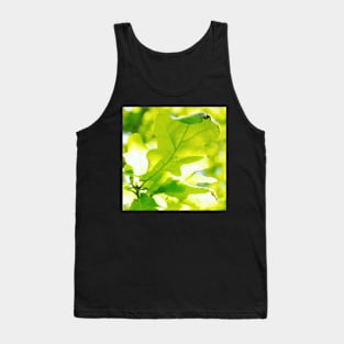 Oak Leaves in Sunlight Tank Top